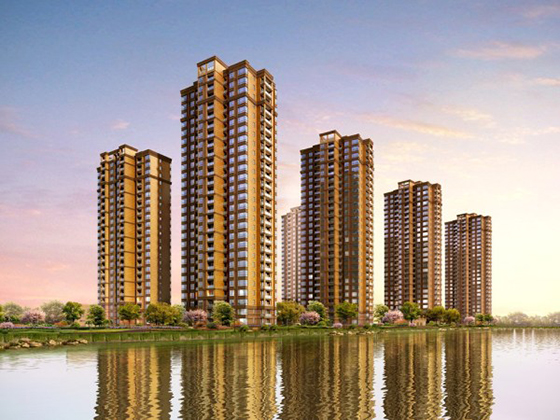 1482459680665552.jpg 1482459680665552.jpg