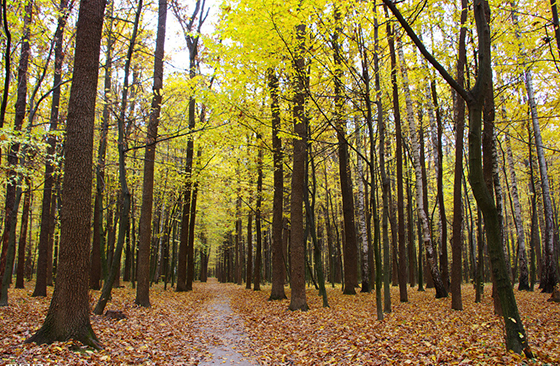 1482459798260097.jpg 1482459798260097.jpg