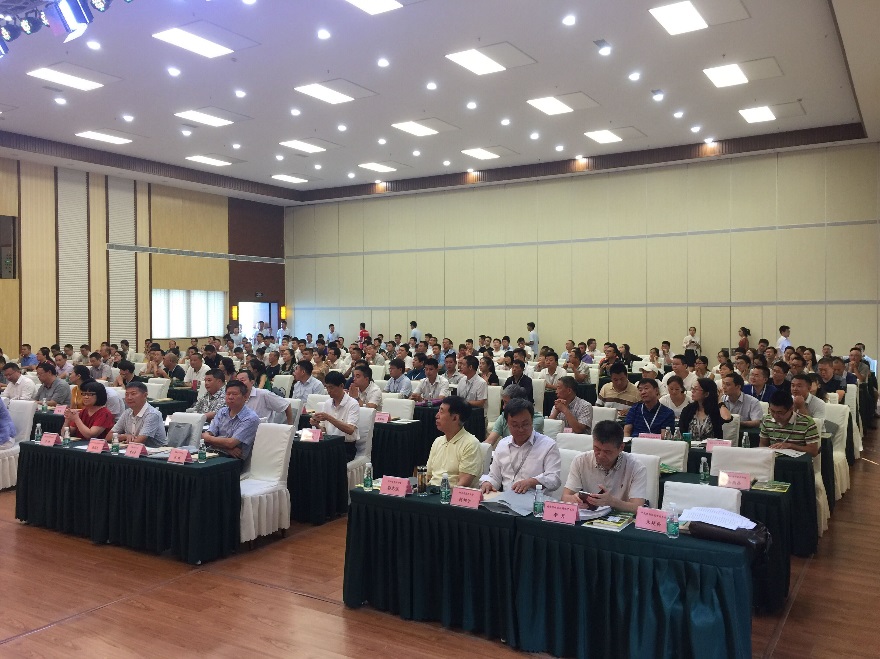 1504516546690809.jpg 1.jpg