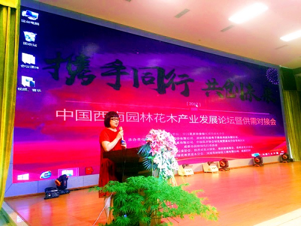 1504516569295255.jpg 2.jpg