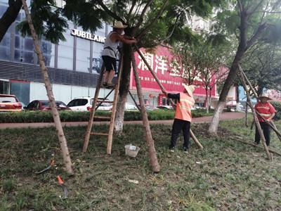 1628504748491462.jpg 微信圖片_202107271011274.jpg